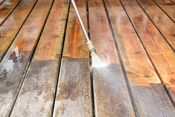 Best Dumpster Area Cleaning  in Lisbon, ND
